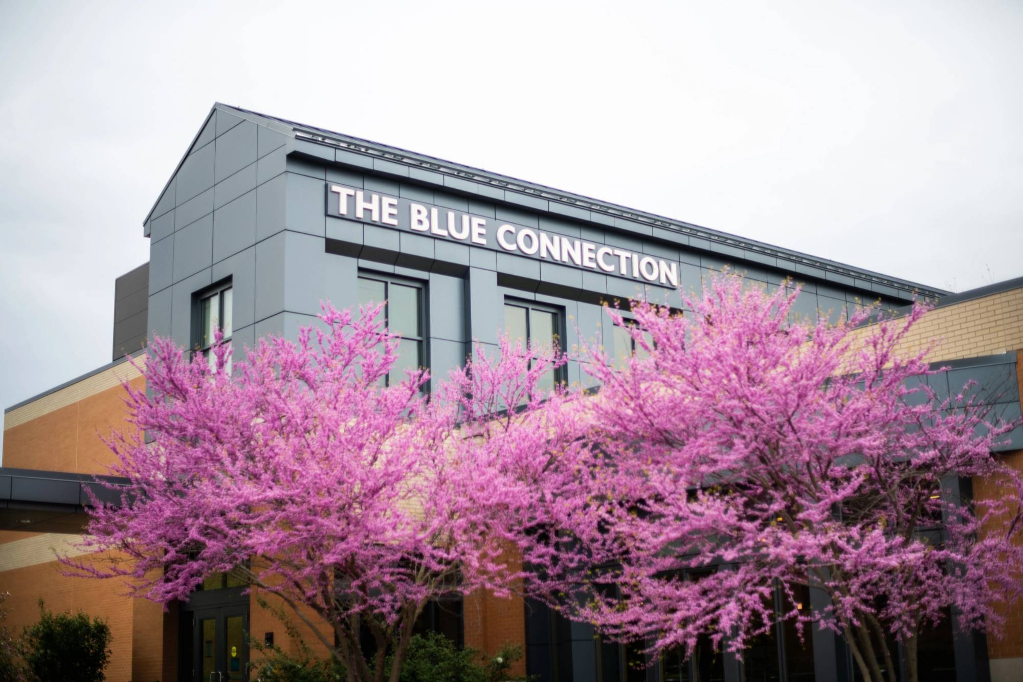 The Blue Connection Building